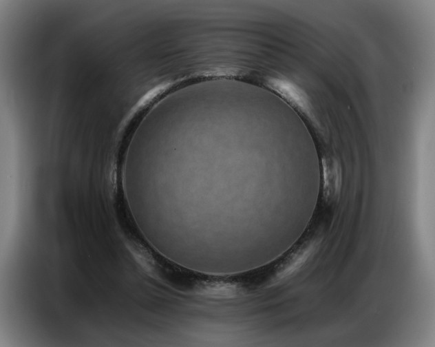 X0000087320348200704201114