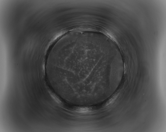 X0000087320349200704201114