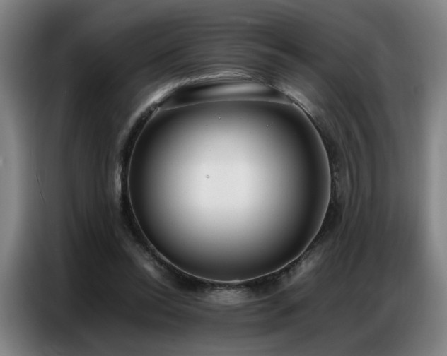 X0000087320350200704201114