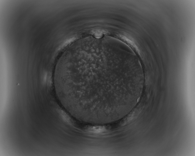 X0000087320353200704201114