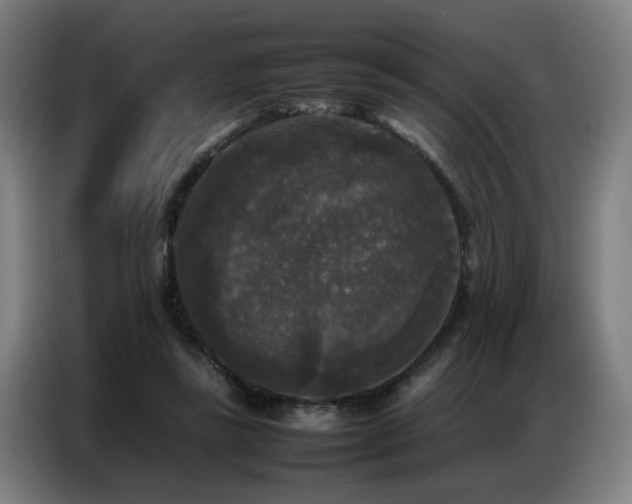 X0000087320355200704201114