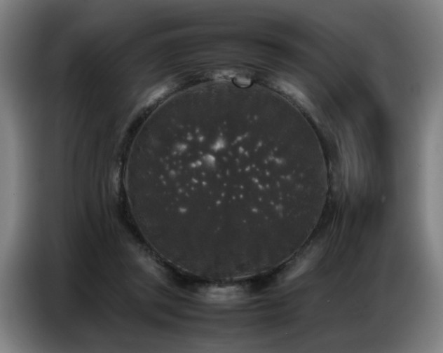 X0000087320357200704201114