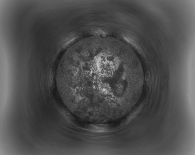 X0000087320359200704201114