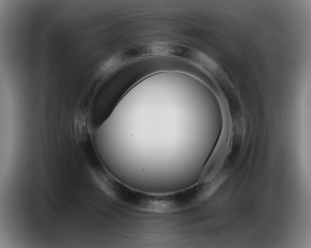 X0000087320360200704201114