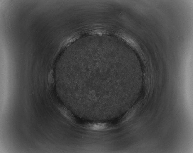 X0000087320361200704201114