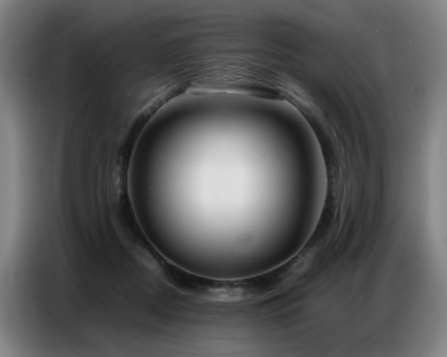 X0000087320362200704201114