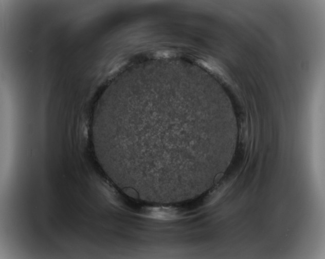 X0000087320363200704201114