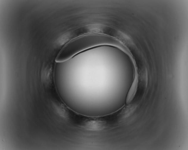X0000087320364200704201114