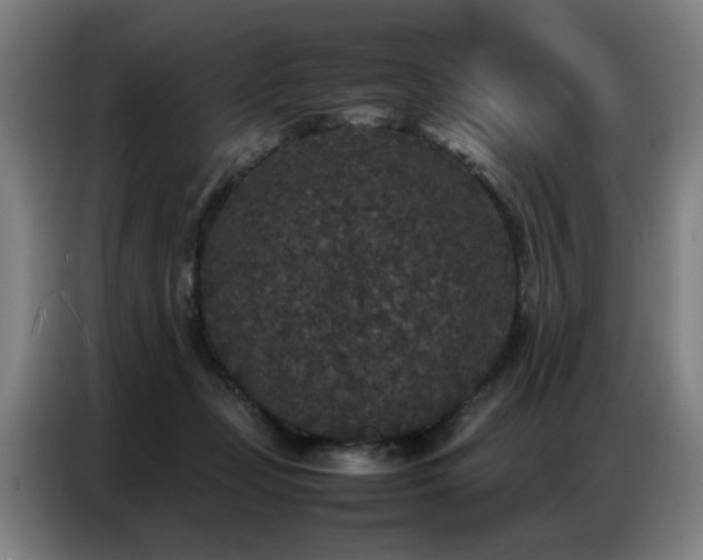 X0000087320365200704201114