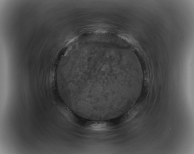 X0000087320369200704201114