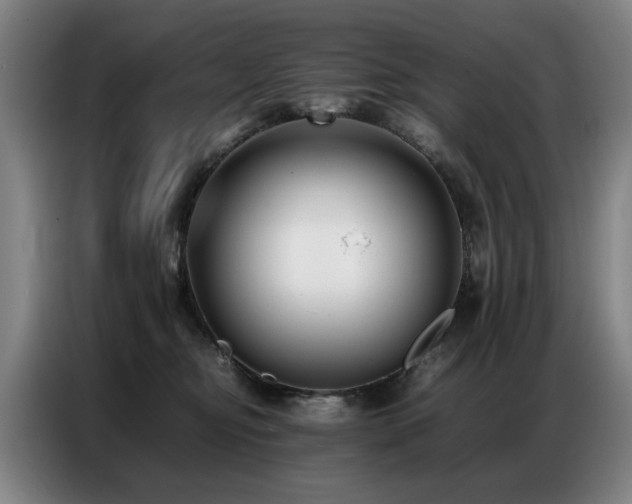 X0000087320374200704201114