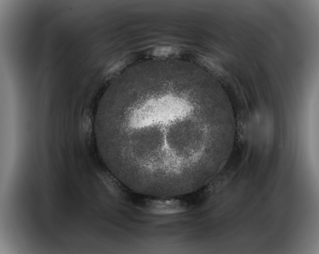 X0000087320375200704201114
