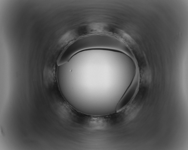 X0000087320376200704201114