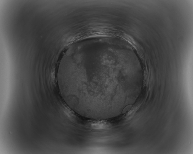 X0000087320377200704201114
