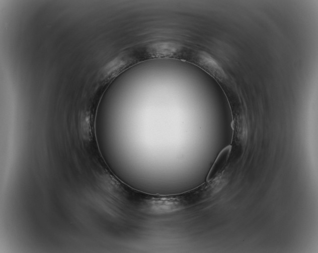 X0000087320378200704201114