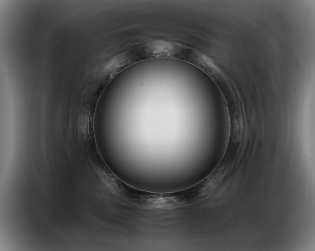 X0000087320379200704201114