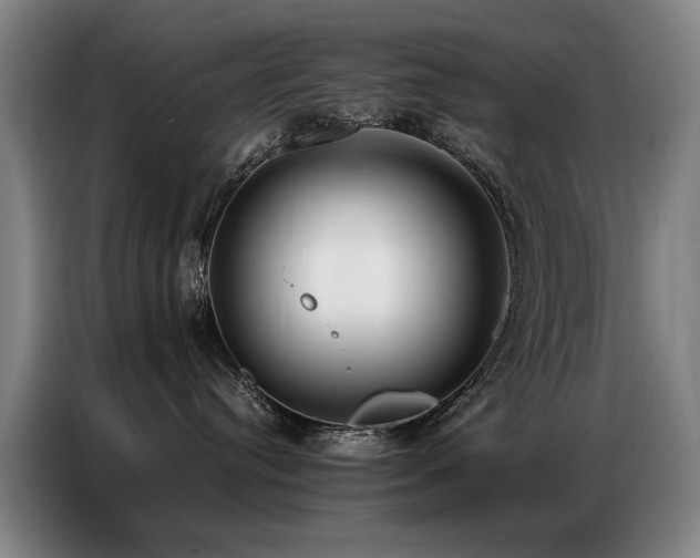 X0000087320384200704201114