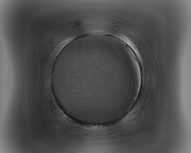 X0000087320385200704201114