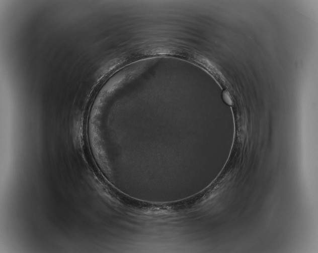 X0000087320386200704201114