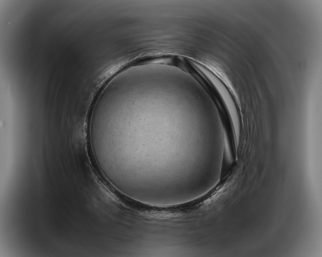 X0000087320389200704201114