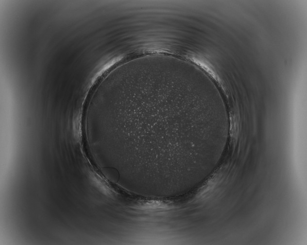 X0000087320390200704201114