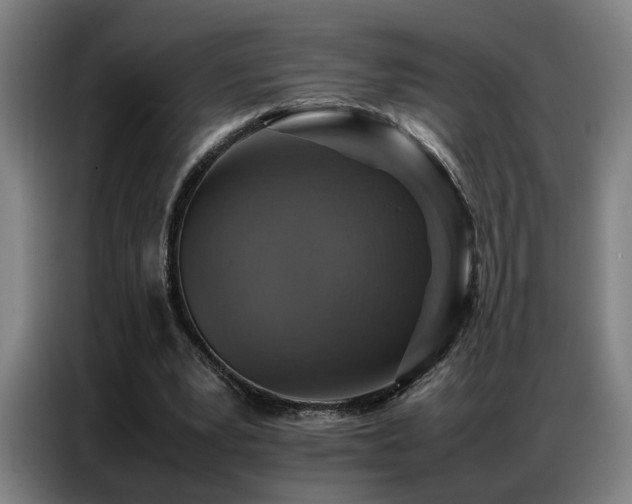 X0000087320391200704201114