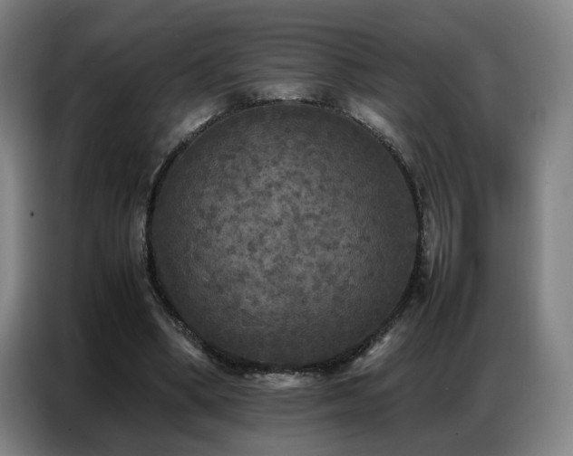 X0000087320394200704201114