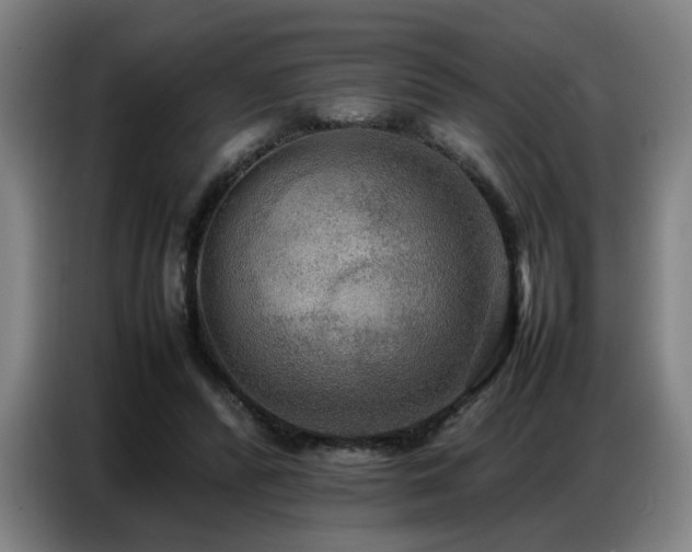 X0000087320400200704201114