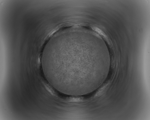 X0000087320405200704201114