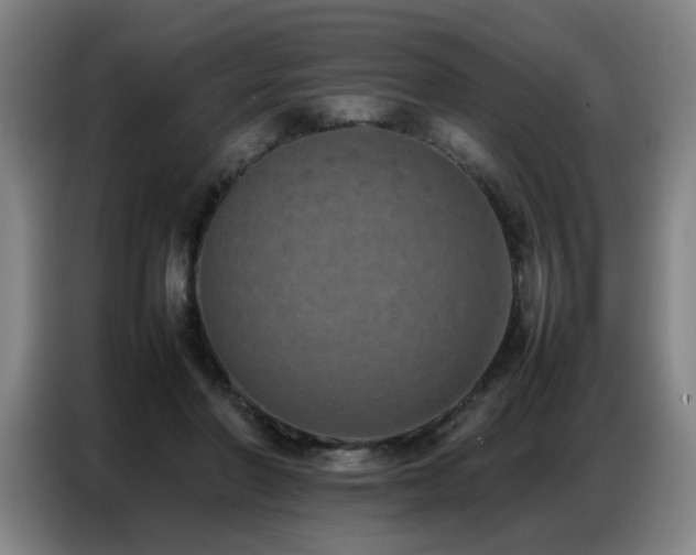 X0000087320406200704201114