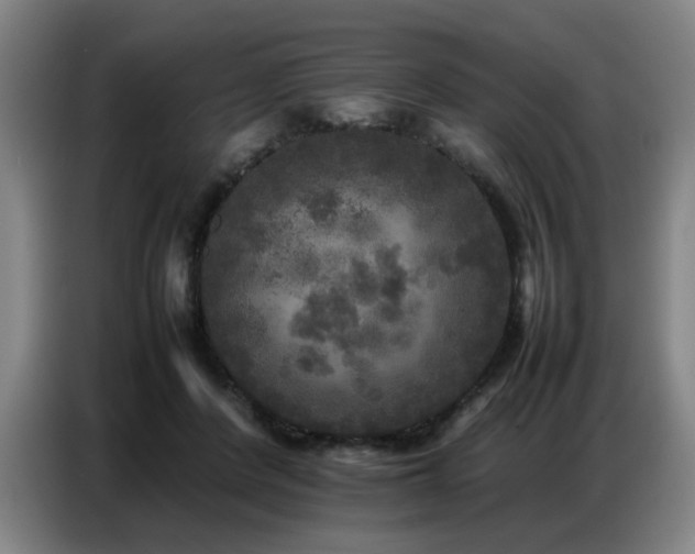 X0000087320408200704201114