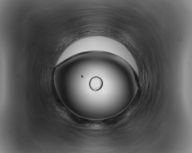 X0000087320412200704201114
