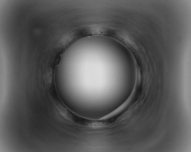 X0000087320413200704201114