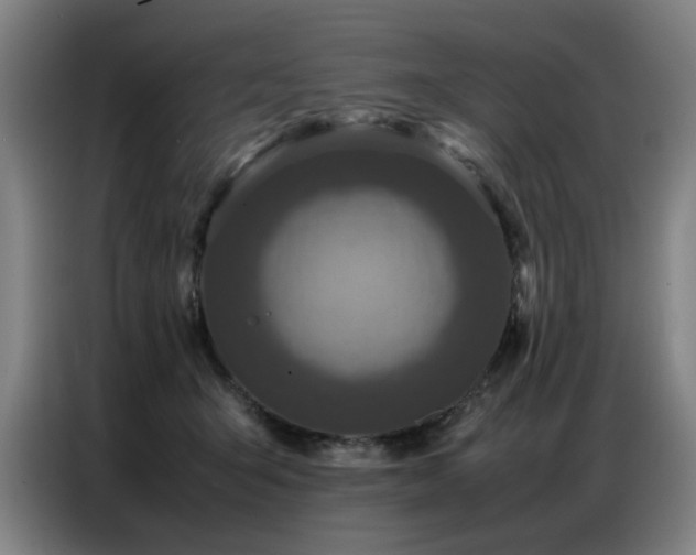 X0000087320415200704201114