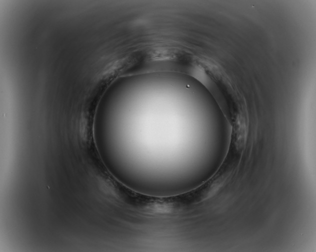 X0000087320416200704201114
