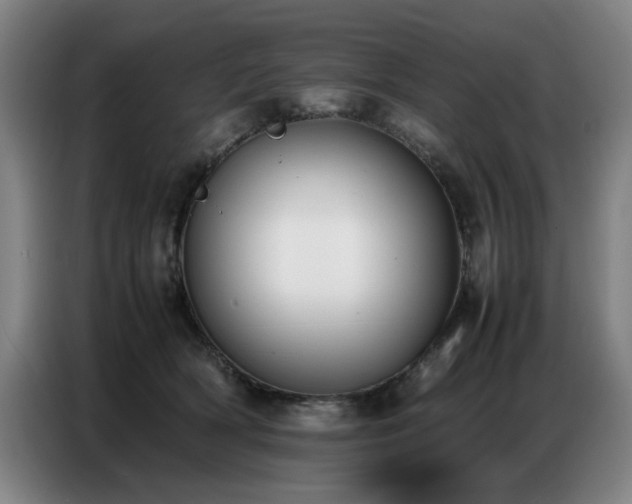 X0000087320418200704201114