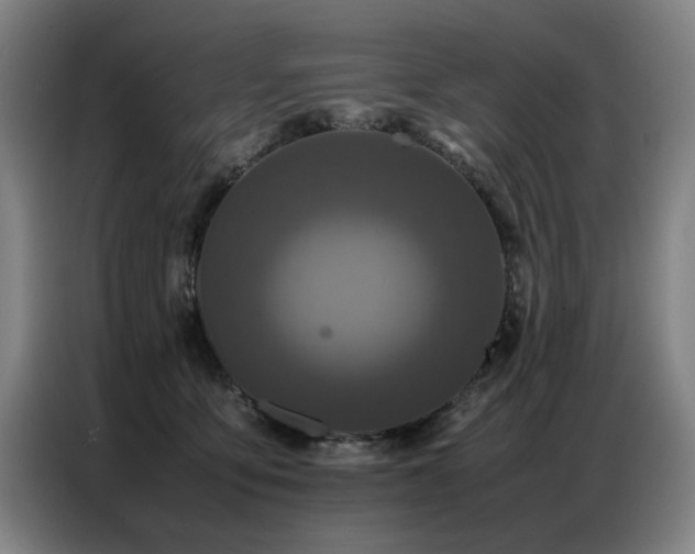 X0000087320419200704201114