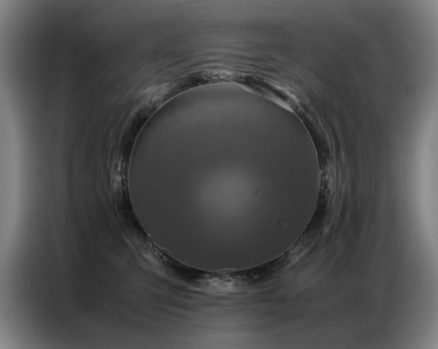 X0000087320423200704201113