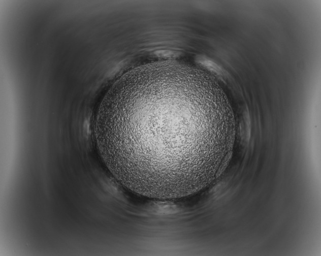 X0000087320424200704201113