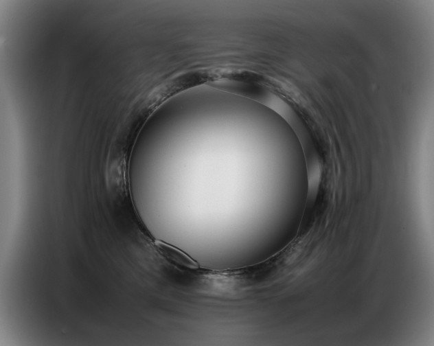 X0000087320425200704201113