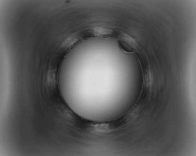 X0000087320426200704201113