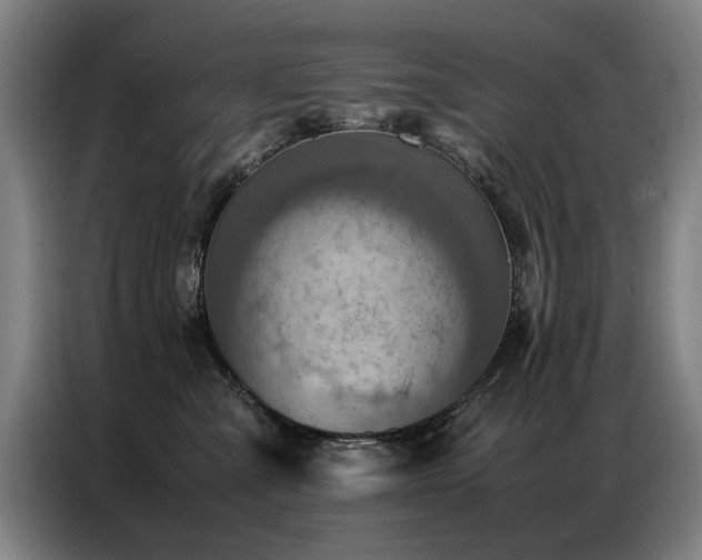 X0000087320427200704201113