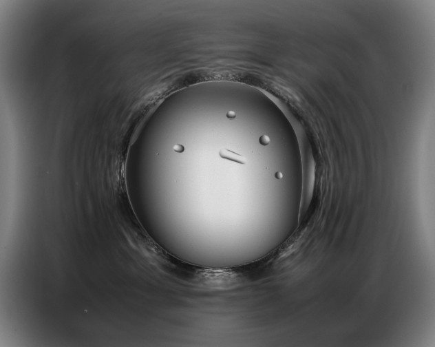 X0000087320429200704201113