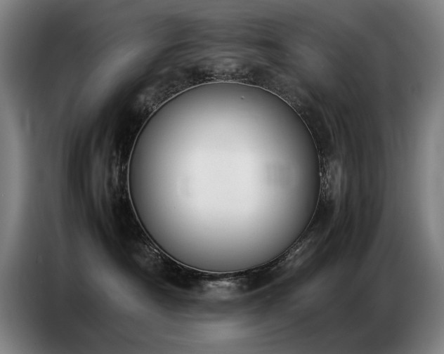 X0000087320430200704201113