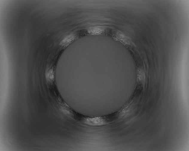 X0000087320431200704201113