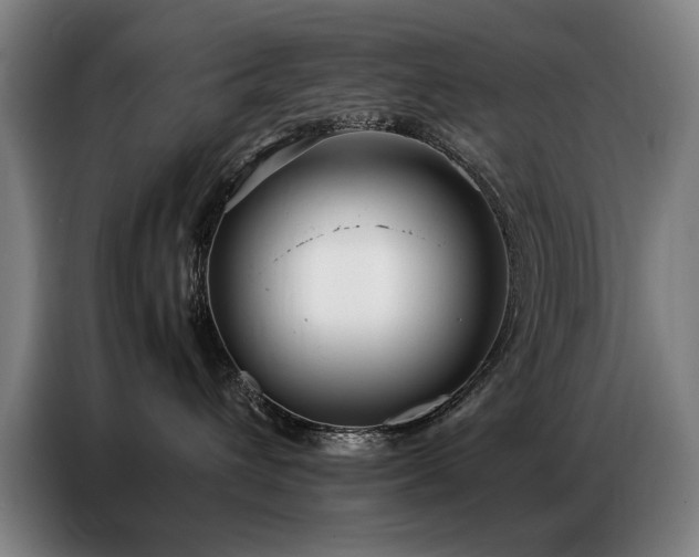 X0000087320432200704201113