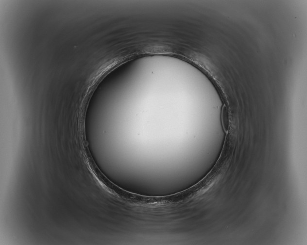 X0000087320433200704201113