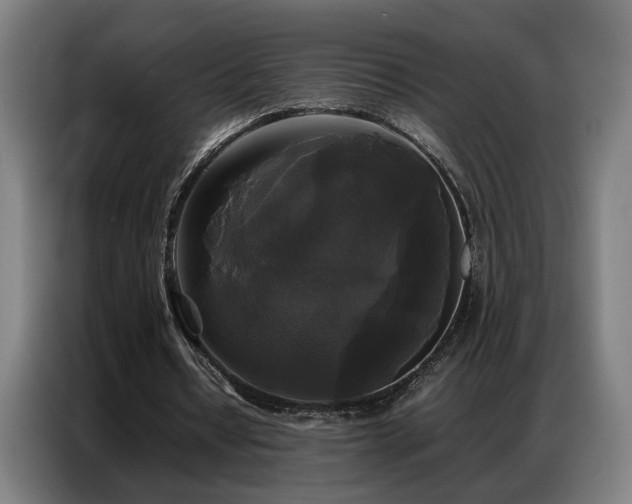 X0000087320434200704201113