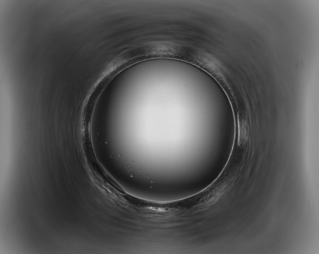 X0000087320435200704201113