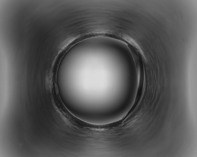 X0000087320436200704201113